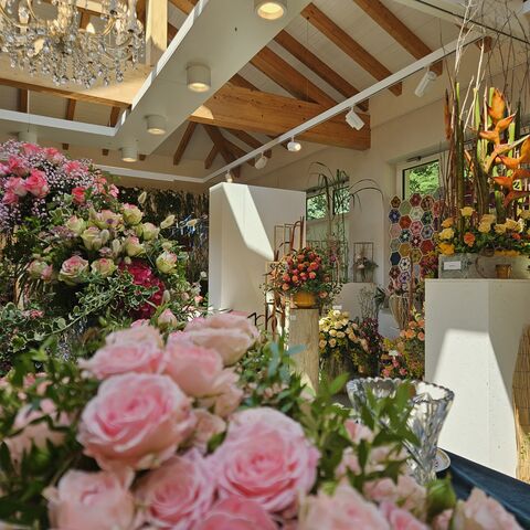 Schnittrosenschau im Ostdeutschen Rosengarten, Foto: Jolanta Imbierska