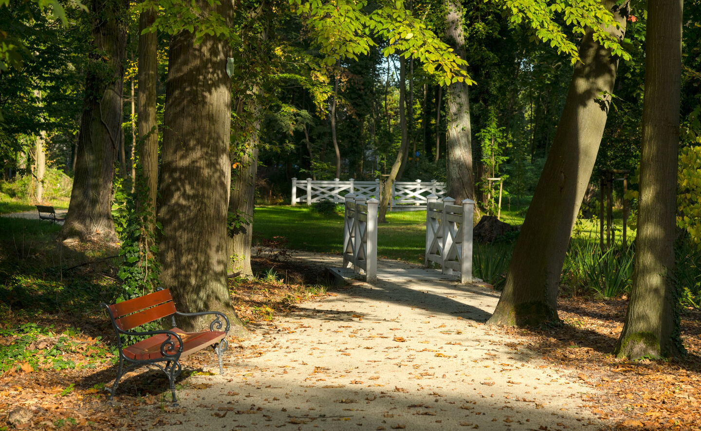 Weiβe Brückchen auf dem Groβen Teich, © Leo Seidel