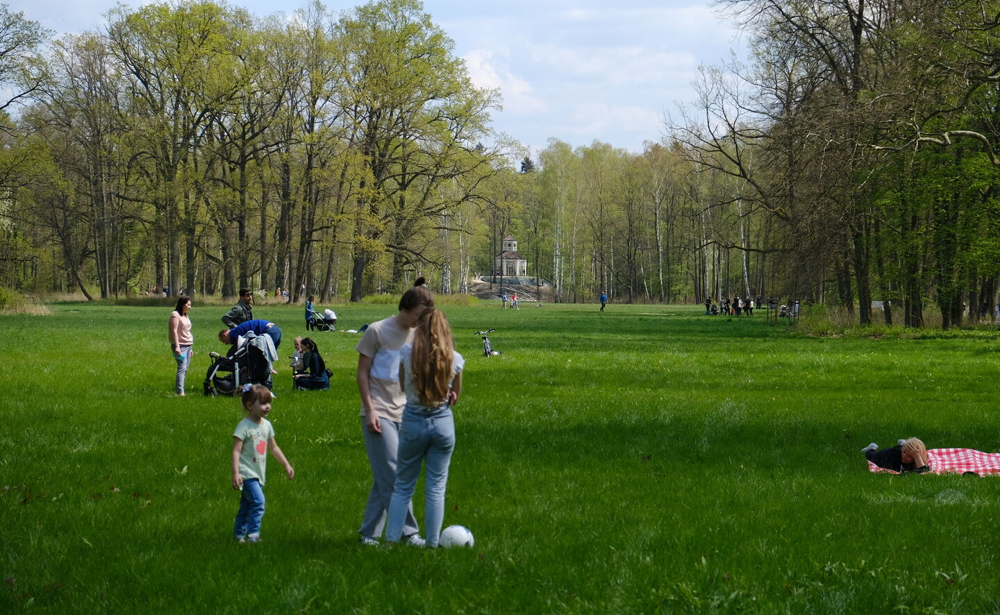 Picknickwiese, © Michał Adamczewski 